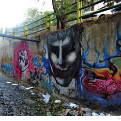 Graffiti on Tehran canal walls (48)