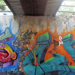 Graffiti on Tehran canal walls (49)