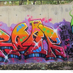 Graffiti on Tehran canal walls (50)