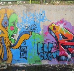 Graffiti on Tehran canal walls (51)