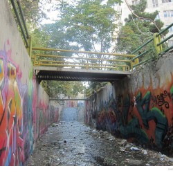 Graffiti on Tehran canal walls (53)