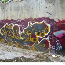 Graffiti on Tehran canal walls (54)