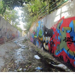 Graffiti on Tehran canal walls (57)
