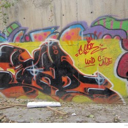Graffiti on Tehran canal walls (58)