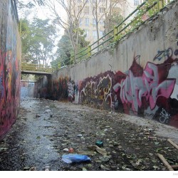 Graffiti on Tehran canal walls (59)