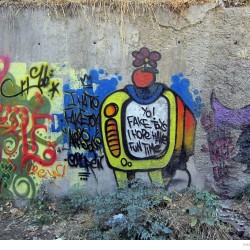 Graffiti on Tehran canal walls (66)
