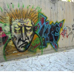 Graffiti on Tehran canal walls (75)