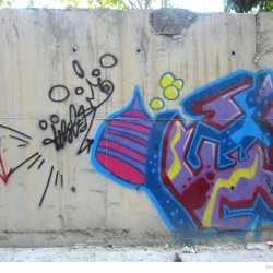 Graffiti on Tehran canal walls (76)