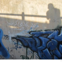 Graffiti on Tehran canal walls (81)
