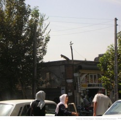 Molavi Avenue (11)
