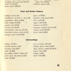 A pocket guide to Iran (1943) (46)