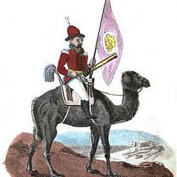 A Camel Artillery man