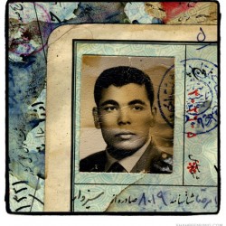 Iranian men, born in 1942 (54)