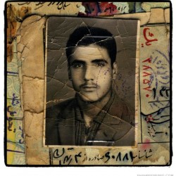 Iranian men, born in 1942 (87)