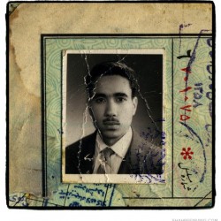 Iranian men, born in 1942 (95)