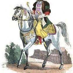 Persian of High Rank