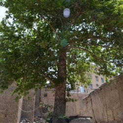 Old Mansion in Marvi Alley