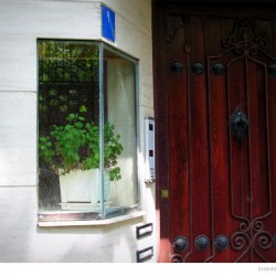 Darakeh, Tehran, June 2012 (6)