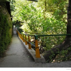 Darakeh, Tehran, June 2012 (19)