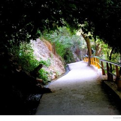 Darakeh, Tehran, June 2012 (24)