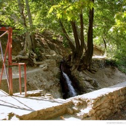 Darakeh, Tehran, June 2012 (29)