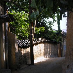 Darakeh, Tehran, June 2012 (32)