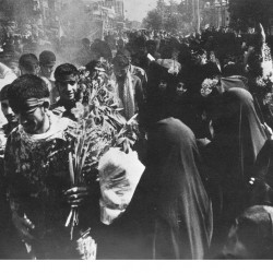 Daily Life at the Iran-Iraq War Fronts (2)