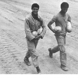 Daily Life at the Iran-Iraq War Fronts (21)