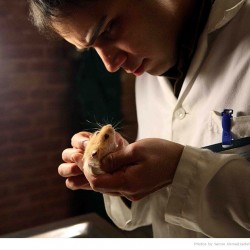 Animal Hospital in Tehran