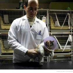 Animal Hospital in Tehran