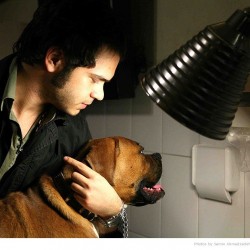 Animal Hospital in Tehran