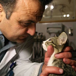 Animal Hospital in Tehran