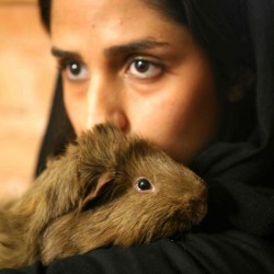 Animal Hospital in Tehran