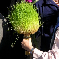 Nowruz in Tajrish, Tehran, 2014 (44)