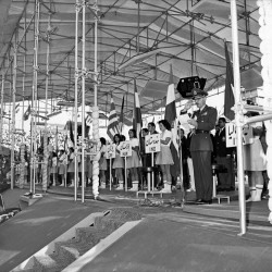 World Wrestling Championships in Tehran (1973 )