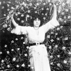 پرتره کوکب لنگ دراز