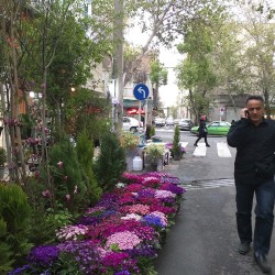 خرید پیش از عید (۱۳۹۵)