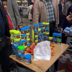 خرید پیش از عید (۱۳۹۵)