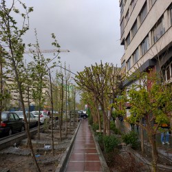 خرید پیش از عید (۱۳۹۵)