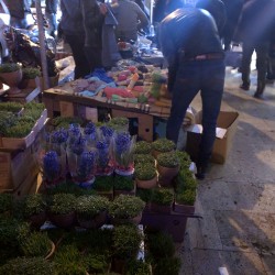 خرید پیش از عید (۱۳۹۵)